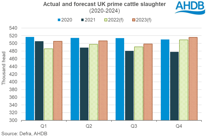 forecasted prime cattle slaughter 2022